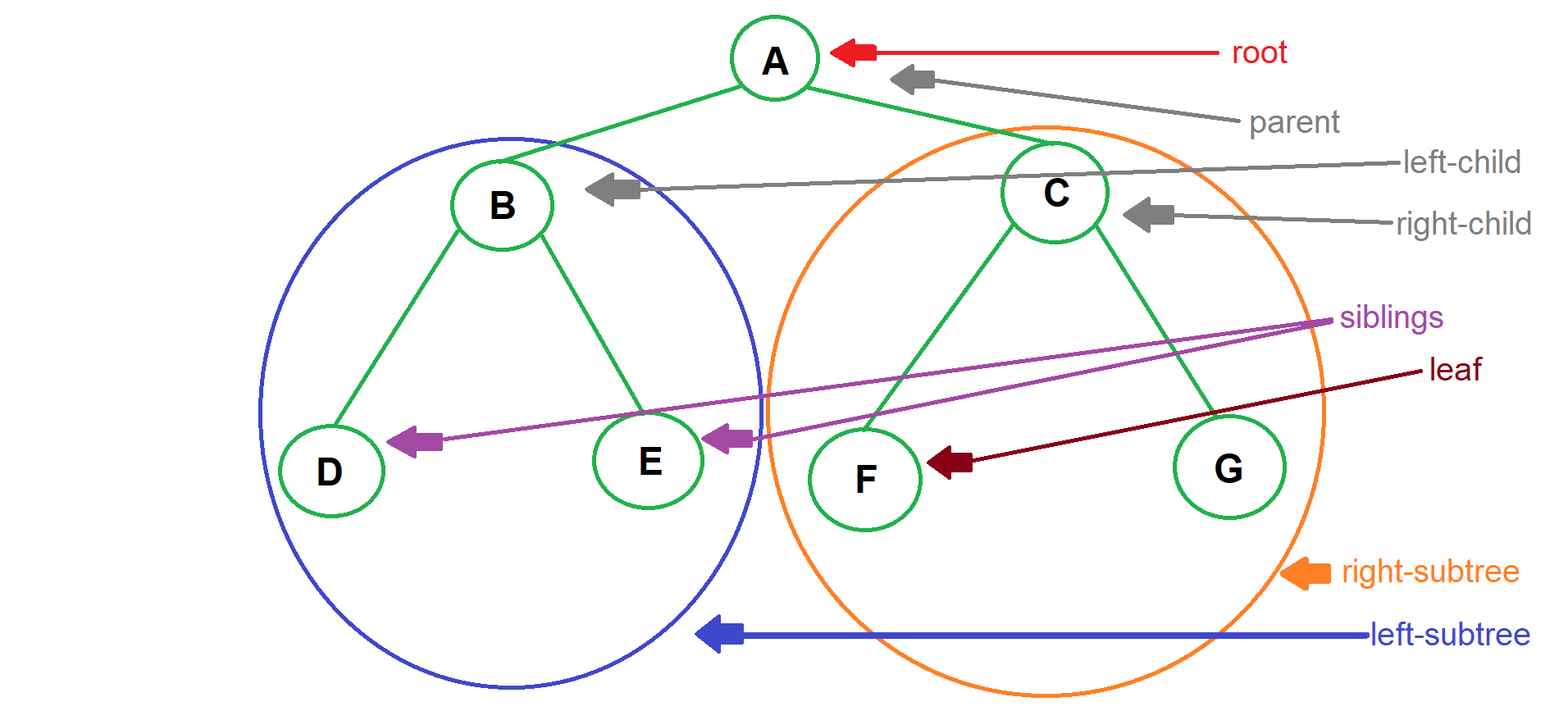 Binary Tree Data Structure & Algorithm