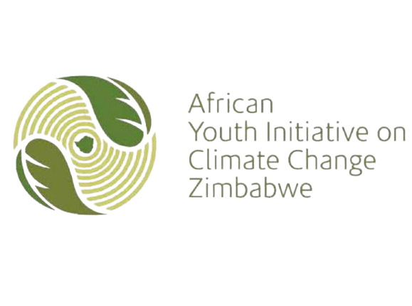 AYICC Zimbabwe project